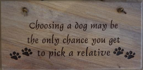 Choosing a Dog May Be the Only Chance You Get to Pick a Relative - 6"X12" Wall Sign