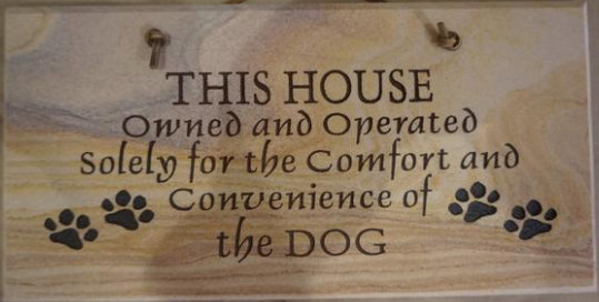 This House Owned and Operated Solely for the Comfort and Convenience of the Dog - 6"X12" Wall Sign